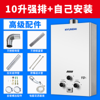 10升强排+高级配件+自己安装 天然气 燃气热水器家用天然气8/10/12升煤气液化气强排式洗澡恒温