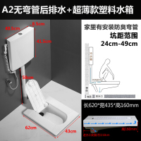 带洗手盆陶瓷冲水箱带盖板蹲便器防臭蹲坑小户大便器安心抵