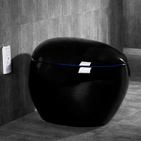 创意黑色鸡蛋圆形电动智能马桶全自动一体式无水箱家用小户型 [创意黑]男士脚感冲水安心抵