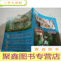宠物宝贝环游世界6黑色处方