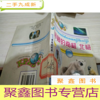 神秘的南极北极