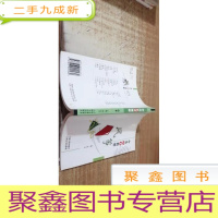 中外艺术精粹风筝