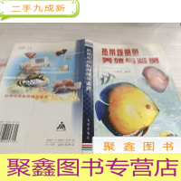 热带观赏鱼养殖与鉴赏