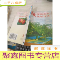 果树薄膜高产栽培技术