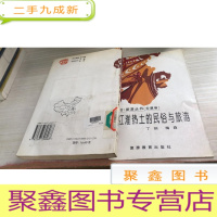 江淮热土的民俗与旅游