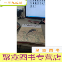 中国画名家作品集 姚秀明工笔花鸟