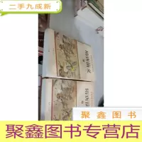 中国古典文学名著丛书:隋唐演义(上下册)