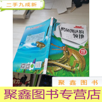 鳄鱼凯达的领地