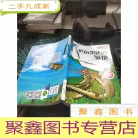 鳄鱼凯达的领地