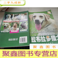 拉布拉多猎犬