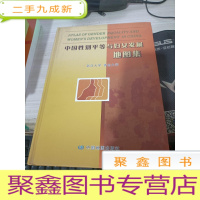 中国性别平等与妇女发展地图集