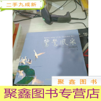 鹭鸶风采—深圳湾