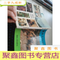 海南岛猕猴王国