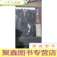 水墨大观王海鲲