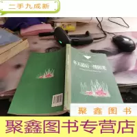 冬天最后一缕阳光:哈萨克族中青年作家中短篇小说选