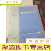 语文七年级上册教学投影片