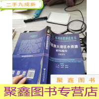 粤港澳大湾区水资源研究报告(2020)/水利水资源蓝皮书