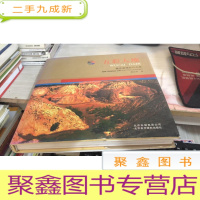 五彩大地:秦正安摄影作品集