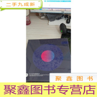 2018第二届深圳国际摄影大展作品集 专题邀请展