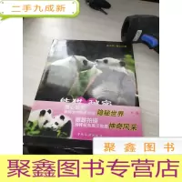 熊猫的秘密