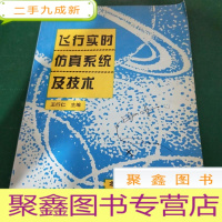 飞行实时仿真系统及技术