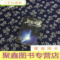 正 九成新武装风暴1 大地斩