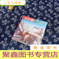 正 九成新胖宝宝 : 猪