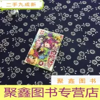 正 九成新家丁 4