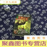 正 九成新荒野求生:怪鳄河谷的远古壁画