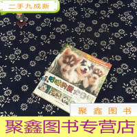 正 九成新咕喃的爱犬日记