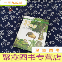 正 九成新我的科学图册:植物、藻类和菌类