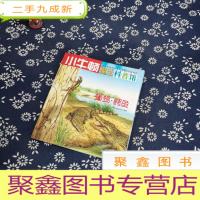 正 九成新蜥蜴·鳄鱼