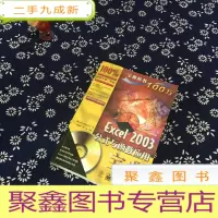 正 九成新Excel 2003公式与函数应用宝典(无光碟)