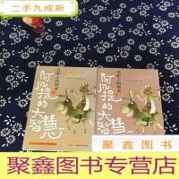 正 九成新毛驴上的智者(上下册)