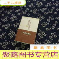 正 九成新狐狸的婚礼