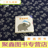 正 九成新野生动物