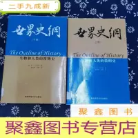 正 九成新世界史纲:生物和人类的简明史(上、下册)