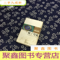 正 九成新量子夸克