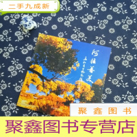 正 九成新阿拉善美