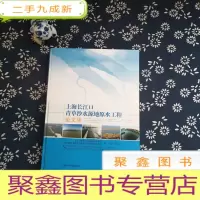 正 九成新上海长江口青草沙水源地原水工程论文集