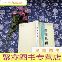 正 九成新深圳风雨