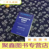正 九成新国际清洁能源产业发展报告(2019)