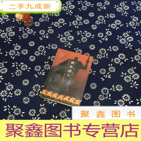 正 九成新黑夜骑士