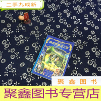 正 九成新异世界童话之旅:王国之上(下册)