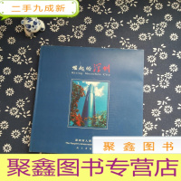 正 九成新崛起的深圳 : 深圳市改革开放历史与建设成就(文集)