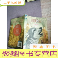 正 九成新绝境狼王系列:守卫火山(3)
