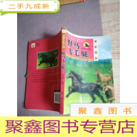 正 九成新动物小说王国 野马飞毛腿