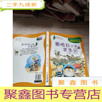 正 九成新撒哈拉沙漠求生记