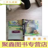 正 九成新秘密花园