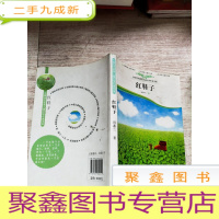 正 九成新红鞋子